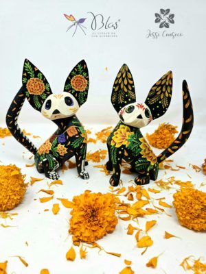Chihuahua cempasùchitl