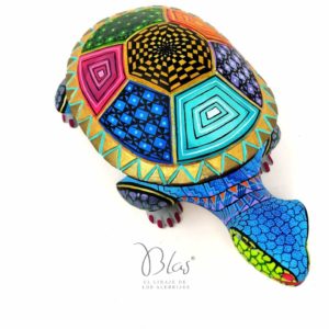 Tortuga de la protección
