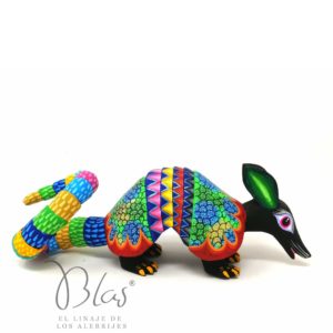 Armadillo de San Pedro Cajonos Oaxaca