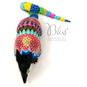 Armadillo de San Pedro Cajonos Oaxaca
