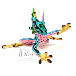 Rana mariposa - Imagen 3