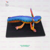 Taller de Alebrijes Blas