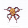 Taller Alebrijes Blas